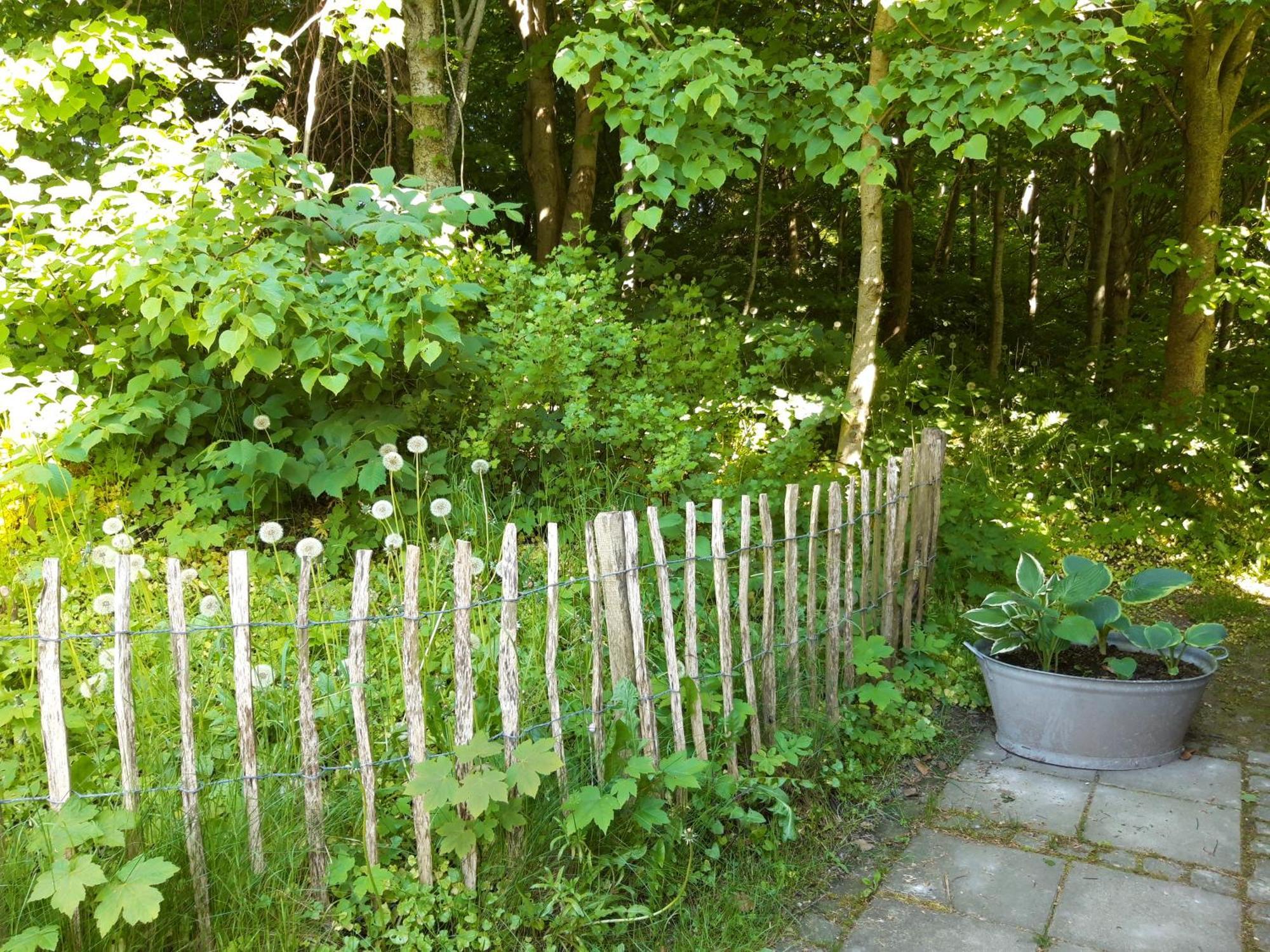 Krogsgaarden B&B Nibe Екстериор снимка